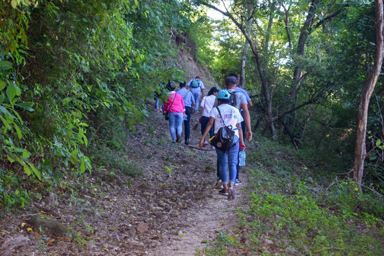 mocuana